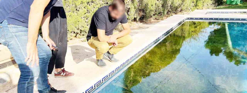 piscina ecológica