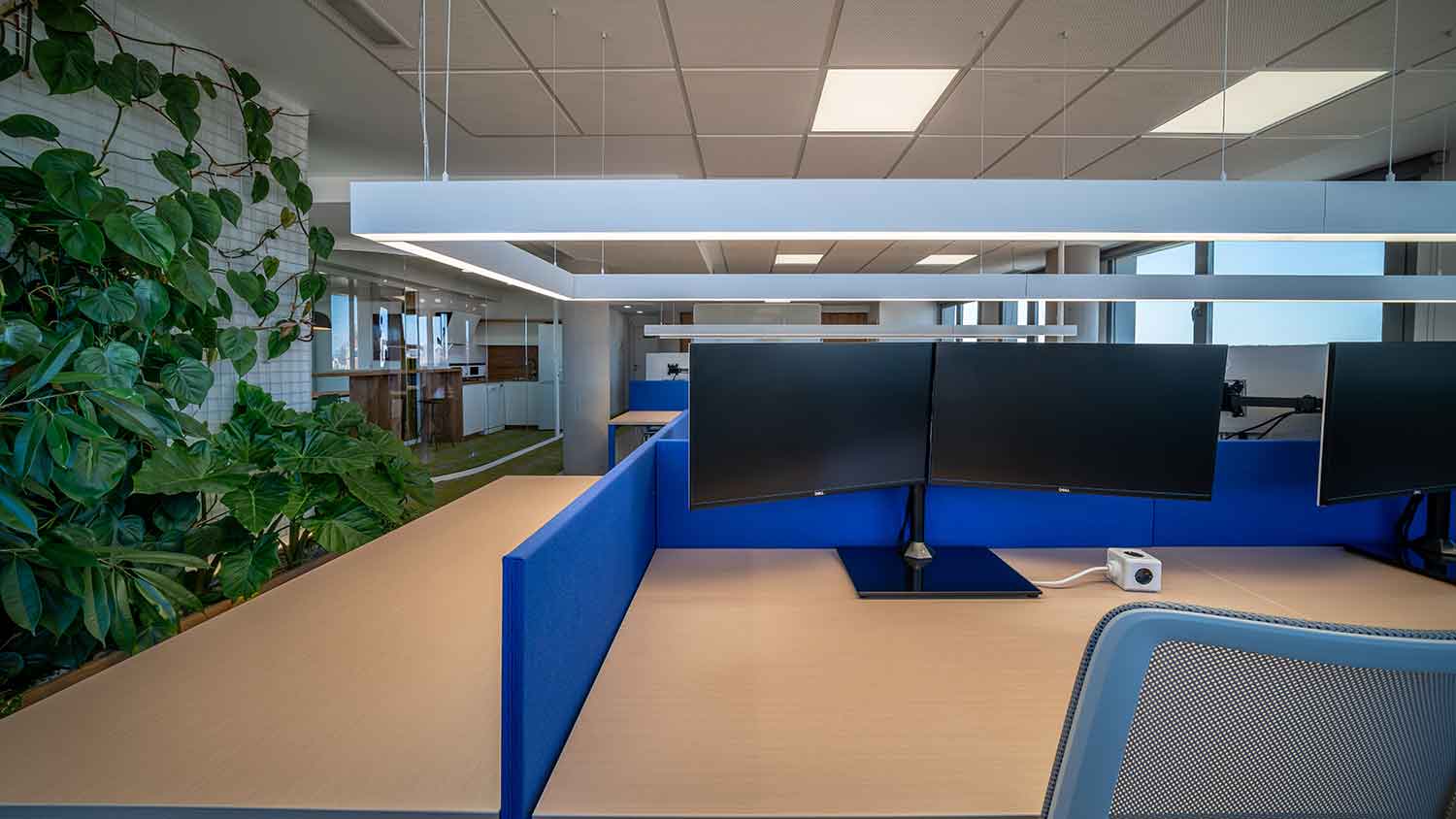 diseño biofílico en oficinas e.life